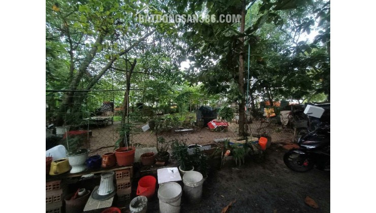 Đất Vuông SHR HXH 300m2 – Tân Hiệp 4 Hóc Môn SS